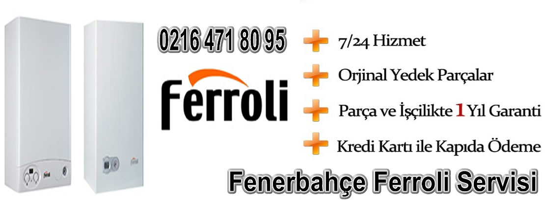 Fenerbahçe Ferroli Servisi