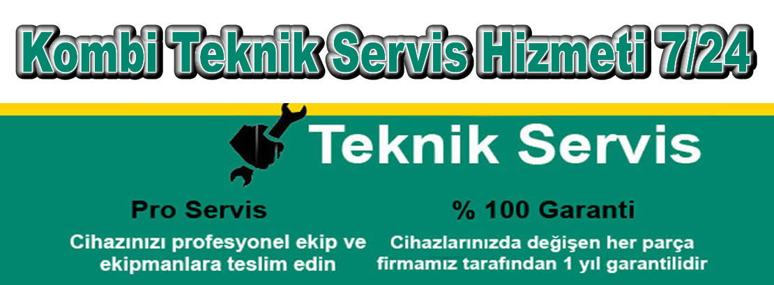Fenerbahçe Vaillant Servisi